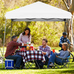 10 x 10 ft Pop up Canopy Tent Set-up Instant Shelter with Detachable Sidewall & Central Lock