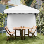 10 x 10 ft Pop up Canopy Tent Set-up Instant Shelter with Detachable Sidewall & Central Lock