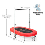 Foldable Oval Trampoline for Kids & Adults, Indoor Double Mini Fitness Trampoline Rebounder with Adjustable Handrail & Non-Slip Pads, Max 330lbs