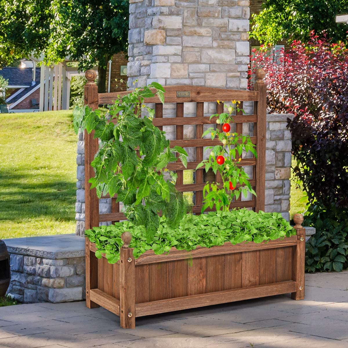 Solid Wood Planter Box with Trellis, 32"H Freestanding Raised Garden Bed Trellis Planter Box for Climbing Vegetable Plants