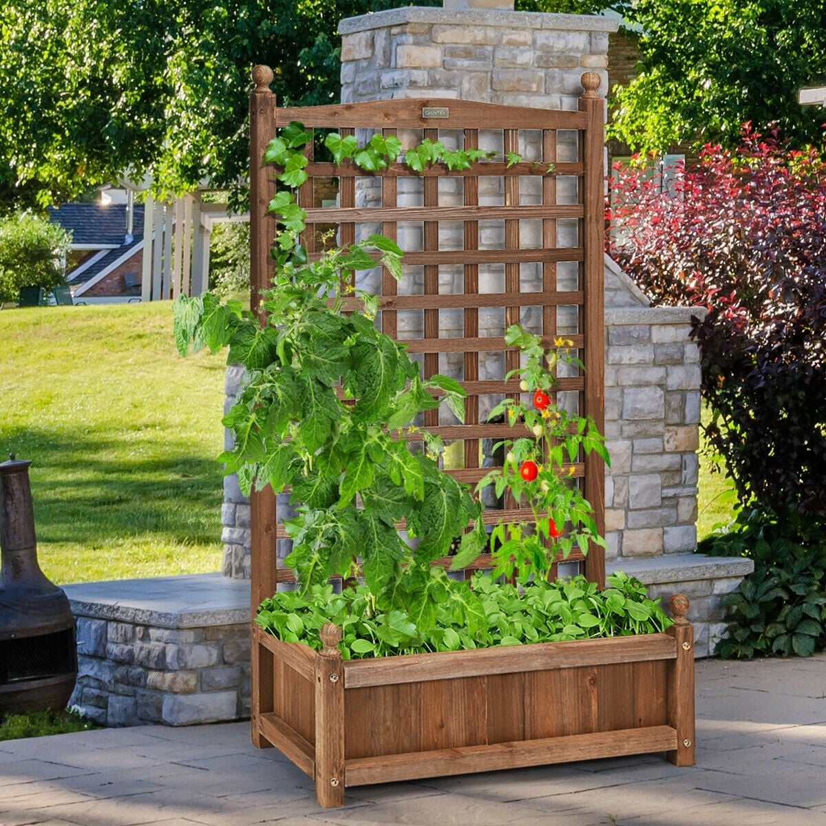 Freestanding Solid Wood Trellis with Planter Box, 50"H Vertical Raised Garden Bed Trellis for Climbing Vegetables Plants